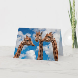 Carte Giraffe Gossip Girls