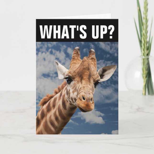 CARTE GIRAFFE GREETING CARD, QU'Y A-T-IL ? (Devant)