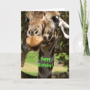 Carte Giraffe, Joyeux anniversaire !