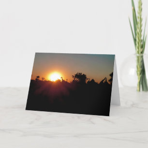 CARTE GIRAFFES AU COUCHER DE SOLEIL