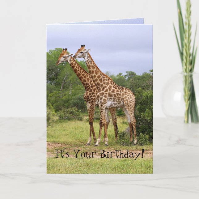 Carte Giraffes d'anniversaire "Go Wild" (Devant)