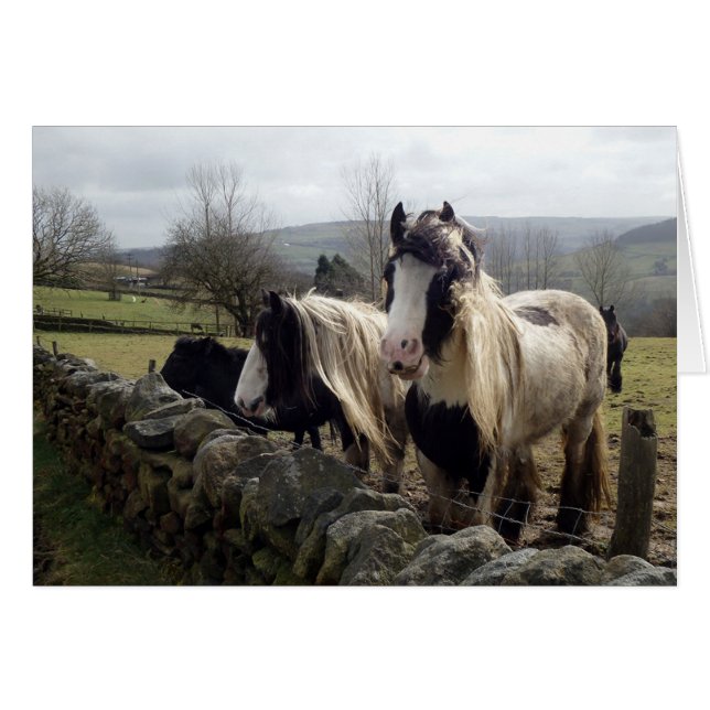 Carte gitane de poneys (Devant horizontal)
