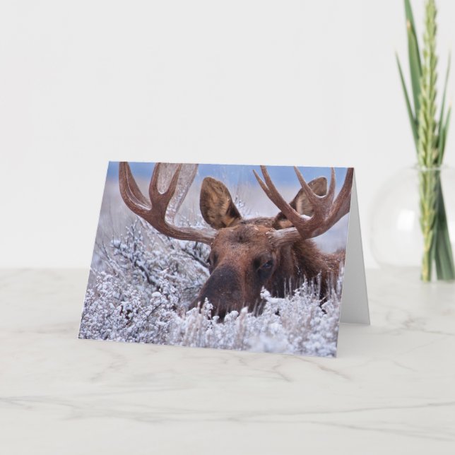 Carte Glace et neige | Grand Teton National Park, Wyomin (Devant)