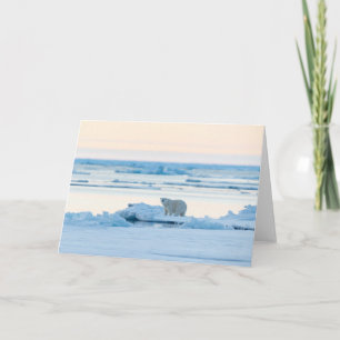 Carte Glace et neige   Ours polaire Iceberg Norvège