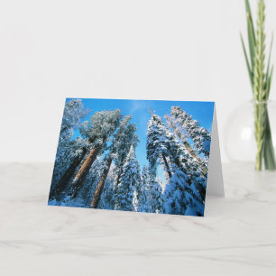 Carte Glace et neige   Parc national de Sequoia, Califor