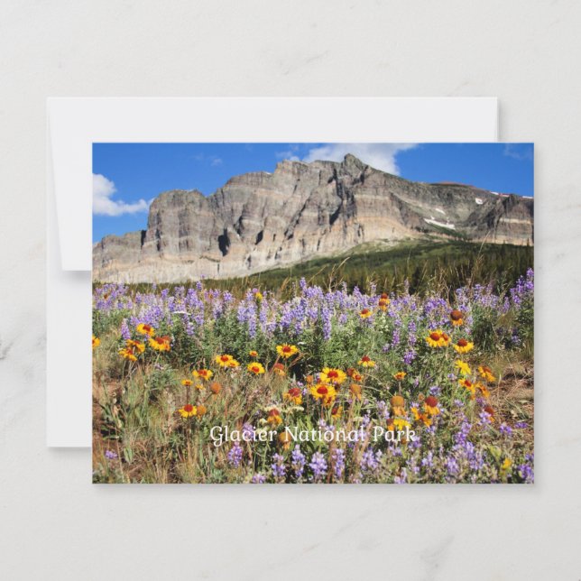 Carte Glacier National Park photo pittoresque (Devant)
