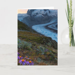Carte Glacier   Suisse de Monte Rosa