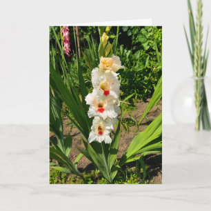 Carte Glaïeul jaune dans mon jardin