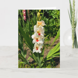 Carte Glaïeul jaune dans mon jardin