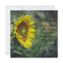 Gloire du Tournesol
