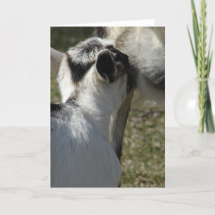 Carte Goat Kid boit du lait, fête des mères
