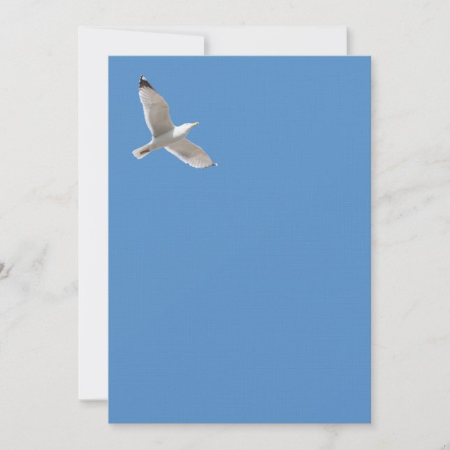 Carte Goéland volant (Devant)