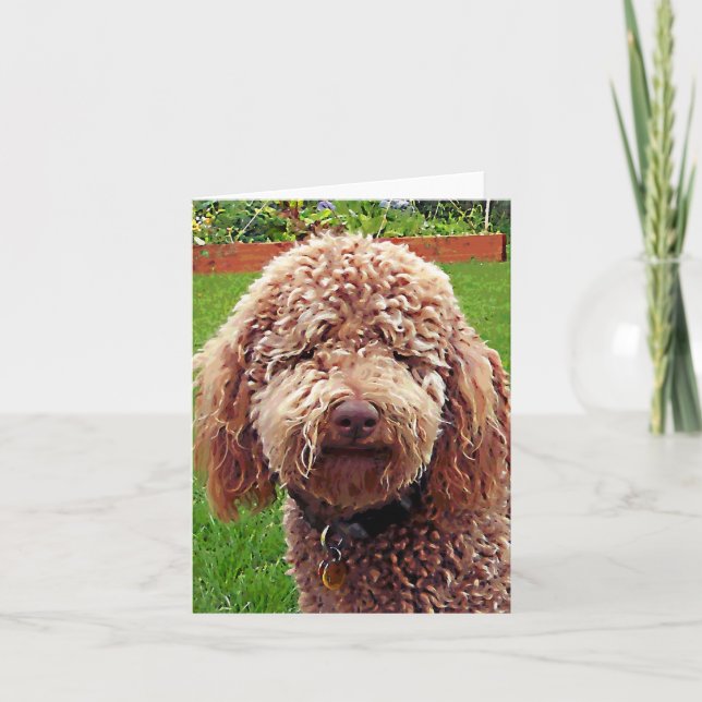 Carte Golden Doodle Stella (Devant)