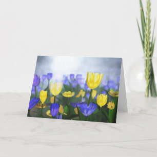 Carte Golden Jubilee