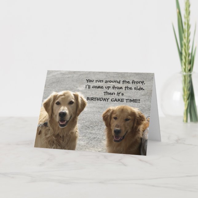 Carte Golden Lab Friends Anniversaire (Devant)