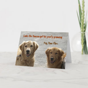 Carte Golden Lab Friends Anniversaire