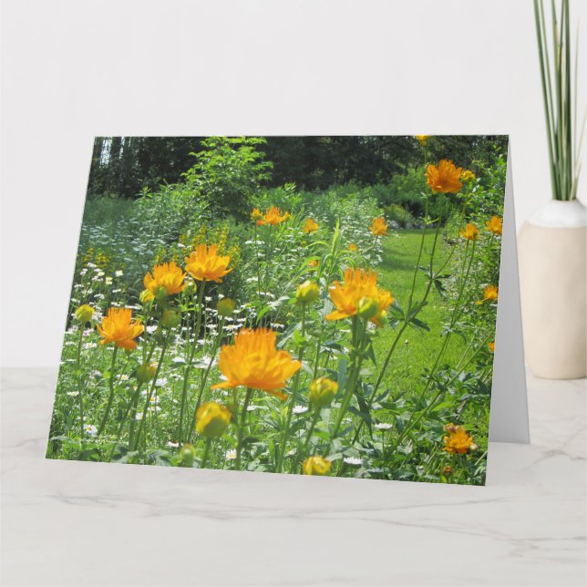 Carte Golden Queen Trollius (Devant)