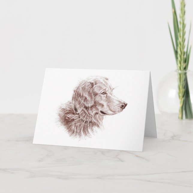 Carte Golden Retriever (Devant)
