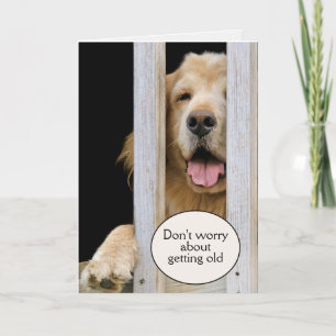 Carte Golden Retriever Anniversaire Obtenir un vieil Hum