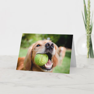 Carte Golden Retriever Avec Balle De Tennis