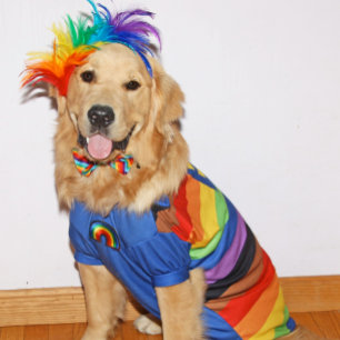 Carte Golden Retriever Be You Pride