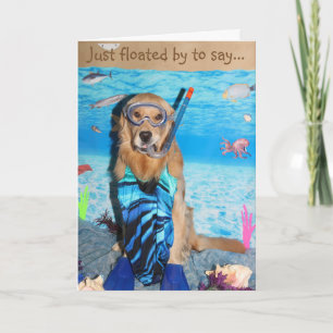 Carte Golden retriever Brithday naviguant au schnorchel