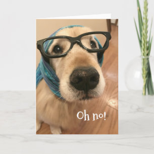 Carte Golden Retriever Chien Avec Lunettes Se Bien Bient