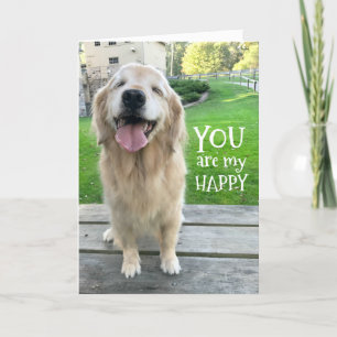 Carte Golden Retriever Chien Vous Êtes Mon Heureux