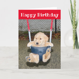 Carte Golden Retriever Chiot Anniversaire Couture