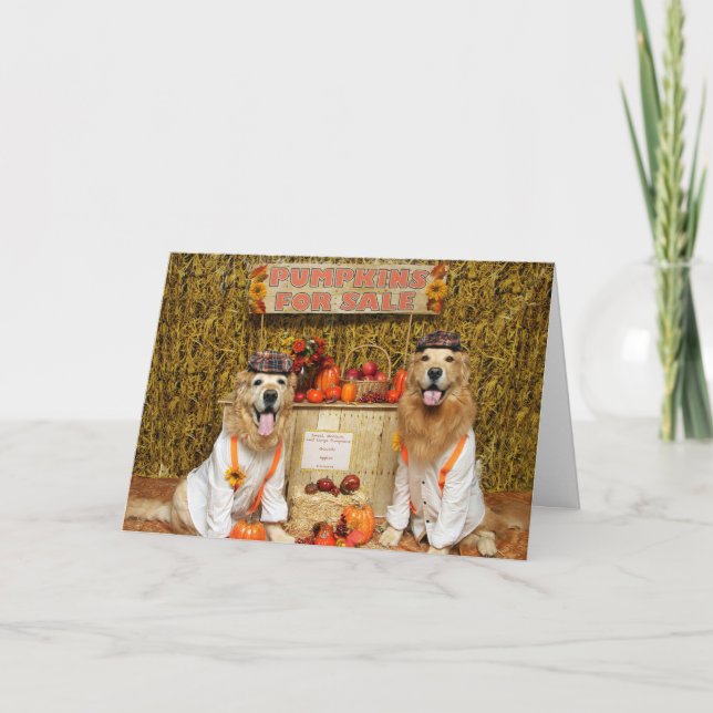 Carte Golden Retriever Citrouille Stand Halloween (Devant)