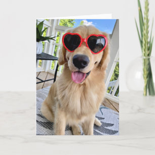 Carte Golden Retriever dans les lunettes de soleil Salut