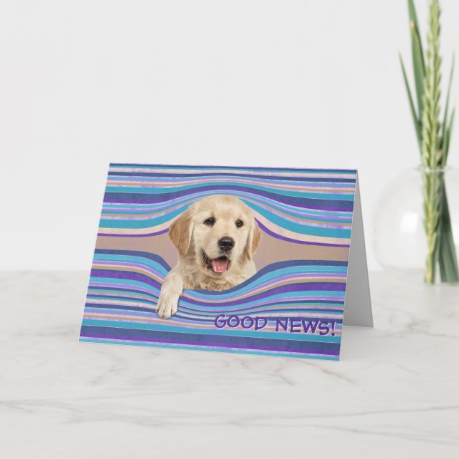 Carte Golden Retriever En Grève Anniversaire Humour (Devant)