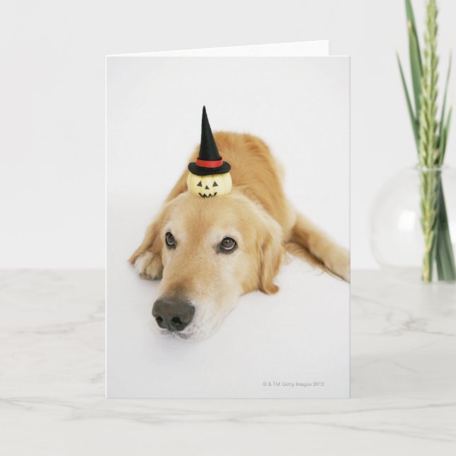 Carte Golden retriever et ornement (Devant)