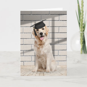 Carte Golden Retriever Graduate sur brique