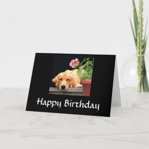 Carte Golden Retriever Happy Birthday Card
