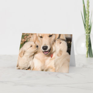 Carte Golden Retriever Happy Mother's Day Card