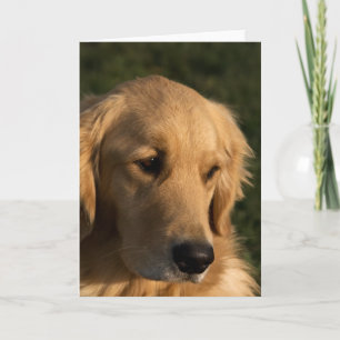 Carte Golden Retriever Head Shot Note