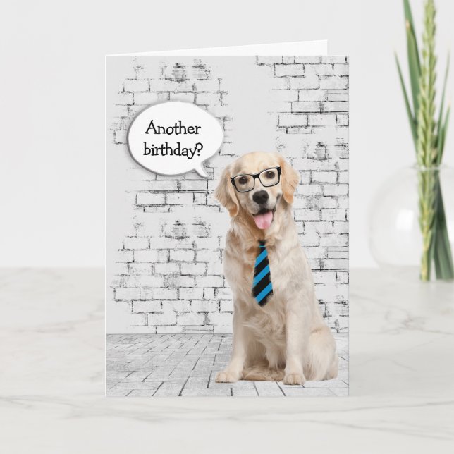 Carte Golden Retriever Humour d'anniversaire (Devant)
