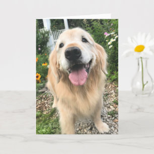 Carte Golden Retriever in Flower Garden Penser à vous