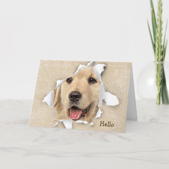 Carte Golden Retriever in Paper Hotte Hello Card (Devant)