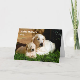 Carte Golden Retriever Mère's Day Maman et Puppy Card
