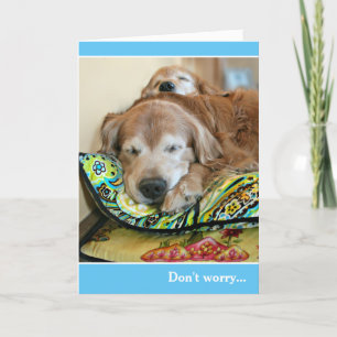Carte Golden Retriever Ne S'Inquiète Pas Il Y A Une Sies