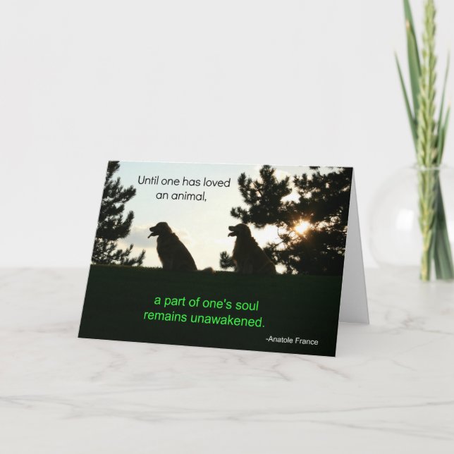 Carte Golden Retriever Pet Sympathie (Devant)