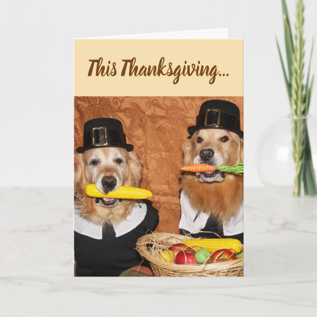 Carte Golden Retriever Pilgrim's Bounty Thanksgiving (Devant)