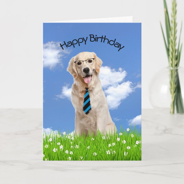 Carte Golden Retriever Pour Anniversaire (Devant)