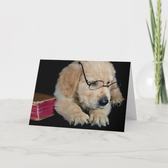 Carte Golden Retriever pup avec lunettes (Devant)