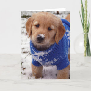Carte Golden Retriever Puppy