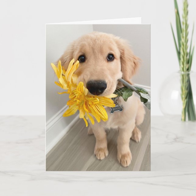 Carte Golden Retriever Puppy with Flower Mother's Day (Devant)