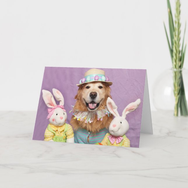Carte Golden Retriever Quelques Bunny spécial Pâques (Devant)