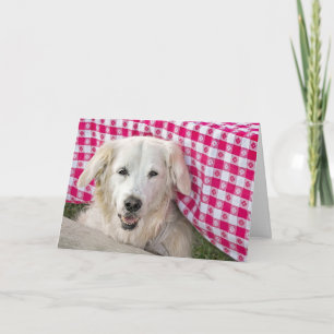 Carte Golden Retriever sous nappe pour anniversaire